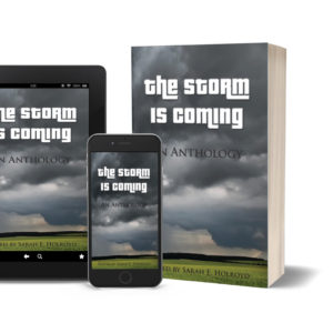 the storm is coming paperback, tablet, smartphone covers