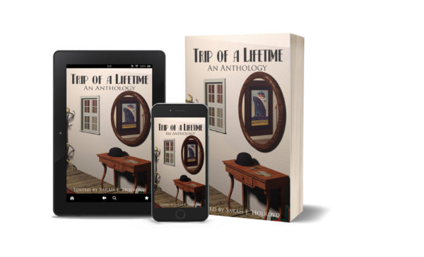 trip of a lifetime paperback, tablet, smartphone covers
